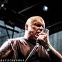 IMG_1054