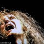 IMG_2354