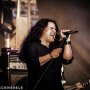 IMG_7775