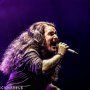 IMG_8252