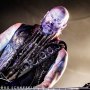 IMG_9568