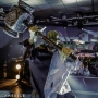 _MG_0296