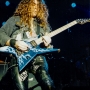 Leatherwolf Geoff 04