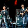 IMGL3318