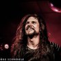 IMG_9497