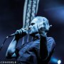 IMG_2768