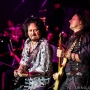 _MG_0964