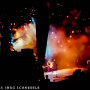 Krokus-09