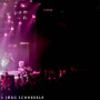 Krokus-11