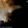 Krokus-12