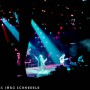 Krokus-310