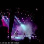 Scorpions-487