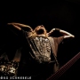 Sodom-2022-Andernach-177