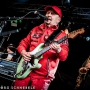 Spider-Murphy-Gang-2024-Koeln-10