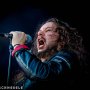 IMG_3943