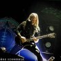 Halo-Effect-09