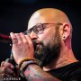 IMG_2572